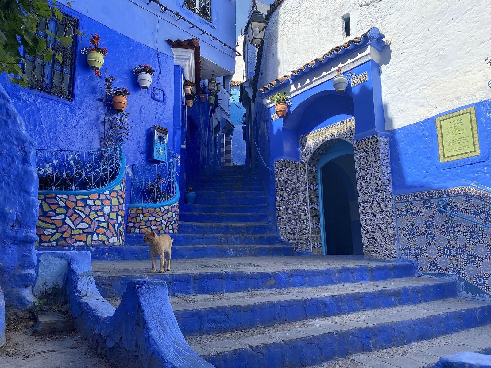 Ruelles bleues & artisanat de la médina — Chefchaouen