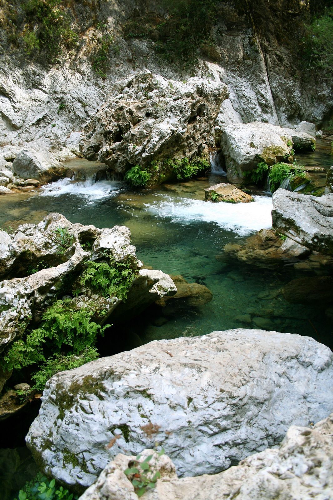 Parc national de Talassemtane — Chefchaouen